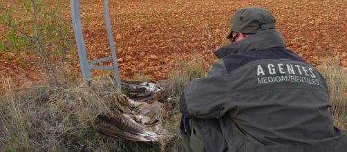 Medio Ambiente solicita m&aacute;s de 6 millones de euros en sanciones a ... - albacetecapital.com