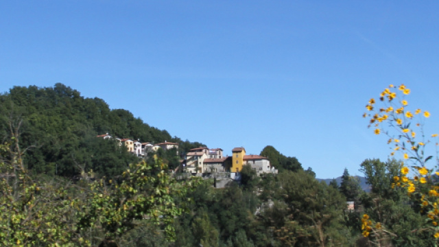 Giallo a Vergato: operaio litiga al bar e viene ritrovato morto in scarpata