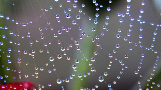 L'oroscopo di domani 3 agosto.