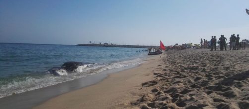 Aparece una ballena muerta en Matar&oacute;