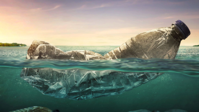 Plastica in mare, disegno artistico