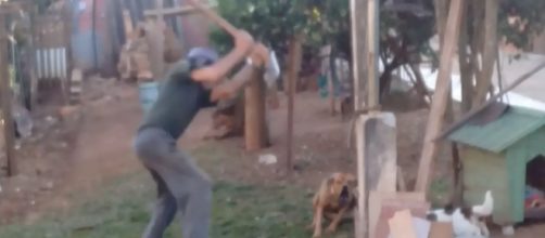 Idoso &eacute; condenado a pagar multa por agress&atilde;o. (Divulga&ccedil;&atilde;o/ Guarda Municipal)