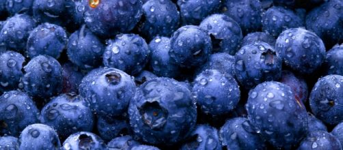 Los ar&aacute;ndanos poseen m&uacute;ltiples beneficios para la salid