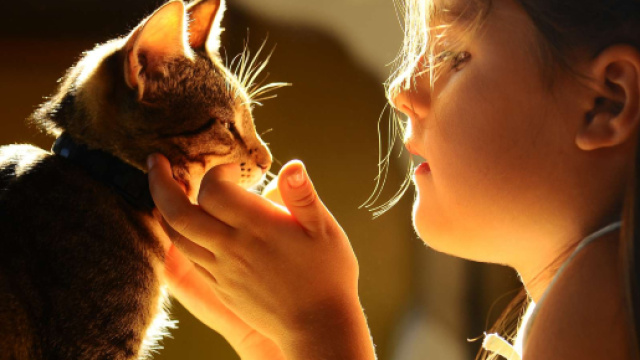 La relation du chat avec un enfant | Bulle Bleue - bullebleue.fr