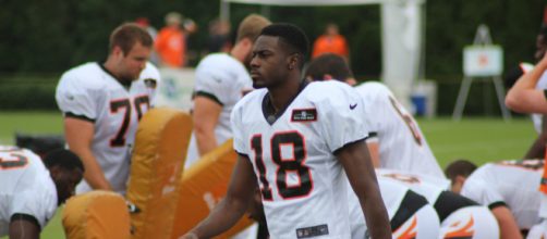 A.J. Green is expected to miss time to begin the regular season. [Image Source: Flickr | Nevin75]