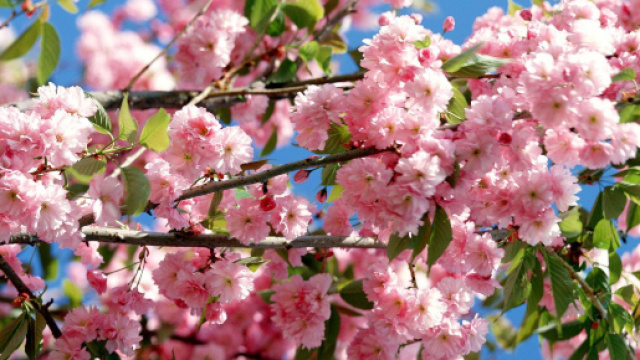 Oroscopo weekend 24 e 25 agosto: Sagittario avventuroso, Bilancia perplessa