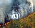 Pray for Amazonia: Amazon rainforest burns