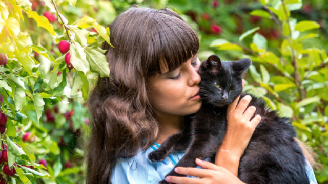 Comment dialoguer avec votre chat ? | &Eacute;duquer son chat ... - pinterest.com