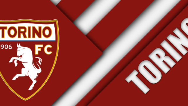 Il Torino pronto ad affrontare il Wolverhampton.