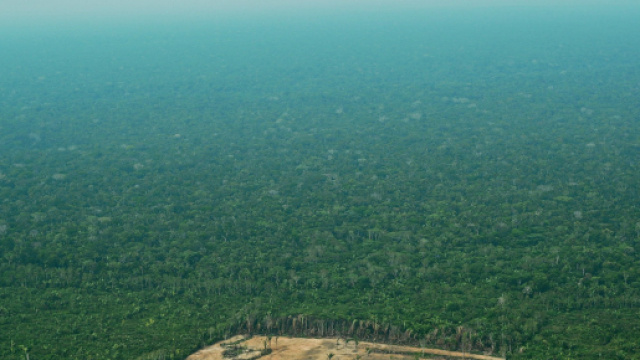 L'Amazzonia brucia: il disastro &egrave; sempre pi&ugrave; vicino