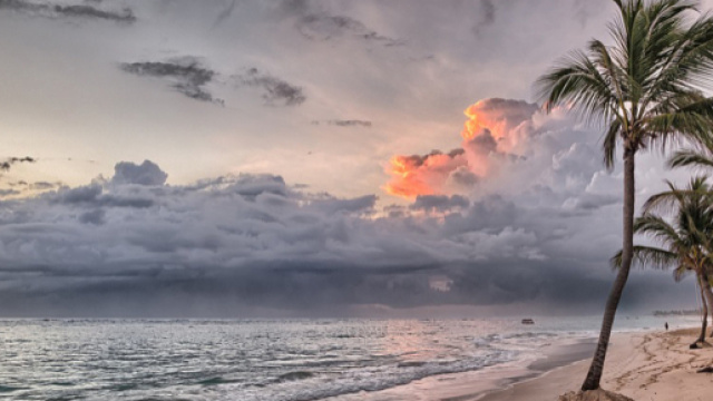 Oroscopo 23 agosto: Ariete e Toro in recupero, opportunit&agrave; per Leone