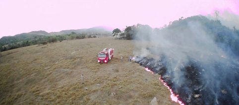 Fires in the amazon rainforest are increasing annually at an alarming rate