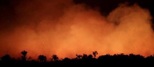 Presidente franc&ecirc;s convocou reuni&atilde;o de emerg&ecirc;ncia para discutir situa&ccedil;&atilde;o da Amaz&ocirc;nia. (Arquivo Blasting News)