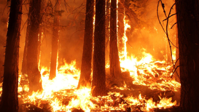Amazzonia: non si fermano gli incendi