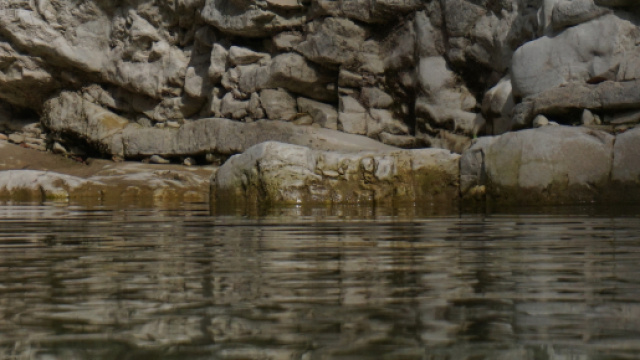 Le acque contaminate dell'Amazzonia