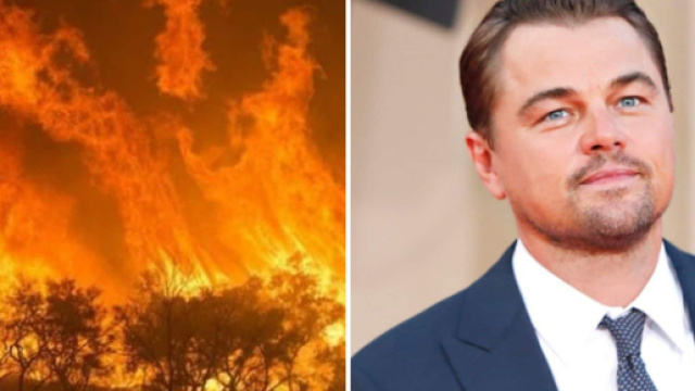 Roghi in Amazzonia: gli appelli social delle star di Hollywood