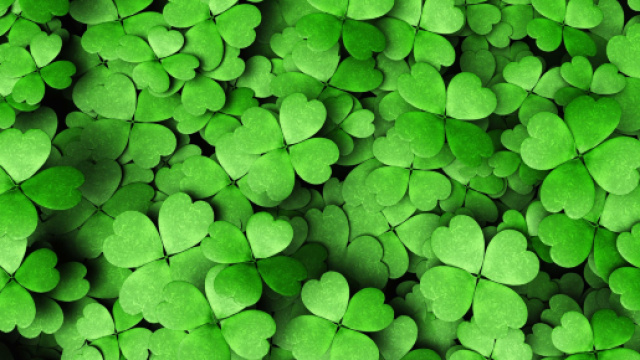 Previsioni oroscopo per la giornata di mercoled&igrave; 28 agosto 2019