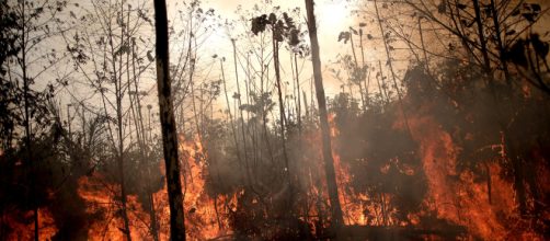 Los incendios en Espa&ntilde;a ser&aacute;n peores que los del Amazonia