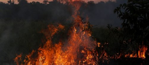 Os 50 investigados seriam respons&aacute;veis somente pelos inc&ecirc;ndios ocorridos no Par&aacute;. (Arquivo Blasting News)