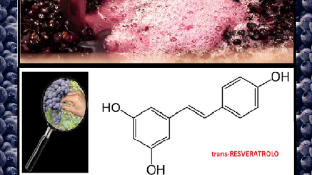 Alle molteplici propriet&agrave; salutistiche del resveratrolo, polifenolo naturale, potrebbe aggiungersi la prevenzione dall&rsquo;ansia e depressione.