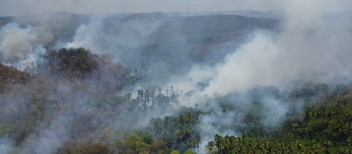 Inc&ecirc;ndios na floresta amaz&ocirc;nica repercutiram no mundo. (Arquivo Blasting News)