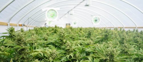 Una reportera de &ldquo;Espejo p&uacute;blico&rdquo; es amenazada con un cuchillo