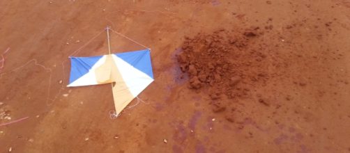 Crian&ccedil;a &eacute; atacada por c&atilde;es ao buscar pipa. (Arquivo Blasting News)