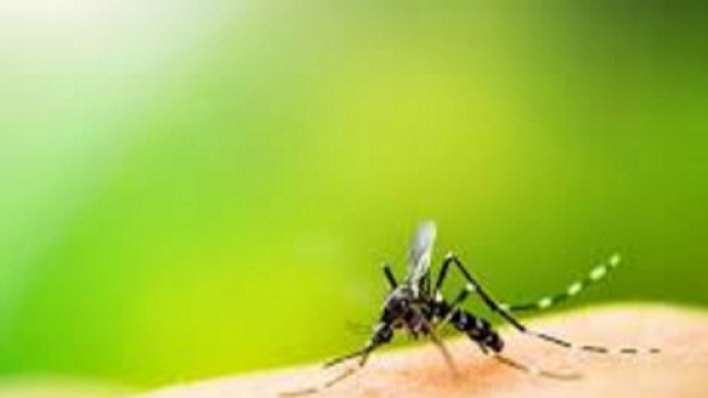 Dengue: allarme nelle Filippine