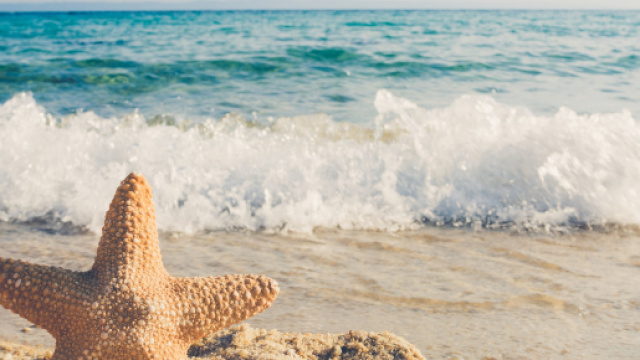 L'oroscopo del weekend, agosto 2019