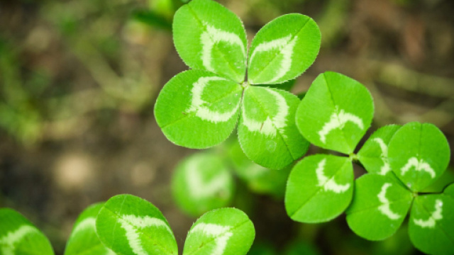 Previsioni oroscopo per il fine settimana, dal 10 all'11 agosto 2019