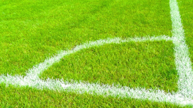 Fantacalcio: affari low cost per l'asta da Benzar a Tutino