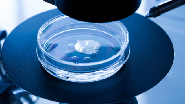 Fecondazione in vitro: dopo 24 anni scopre di non essere il padre biologico della figlia