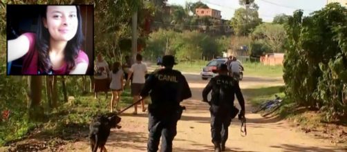 C&atilde;es farejadores est&atilde;o sendo usados nas buscas (Reprodu&ccedil;&atilde;o/TV Tem).