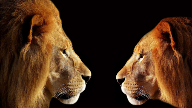 Oroscopo weekend 14-15 settembre: fine settimana 'top' per Ariete e Leone.