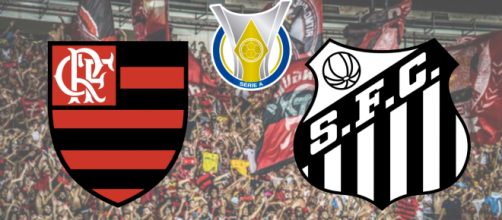 Flamengo x Santos ter&aacute; transmiss&atilde;o ao vivo do PFC. (Fotomontagem)