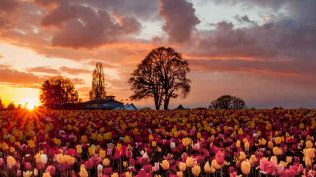 Oroscopo 25 settembre: Gemelli impegnato, malumore per Vergine