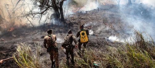 Governadores de nove estados n&atilde;o querem a interrup&ccedil;&atilde;o da ajuda financeira da Europa para a Amaz&ocirc;nia. (Arquivo Blasting News)