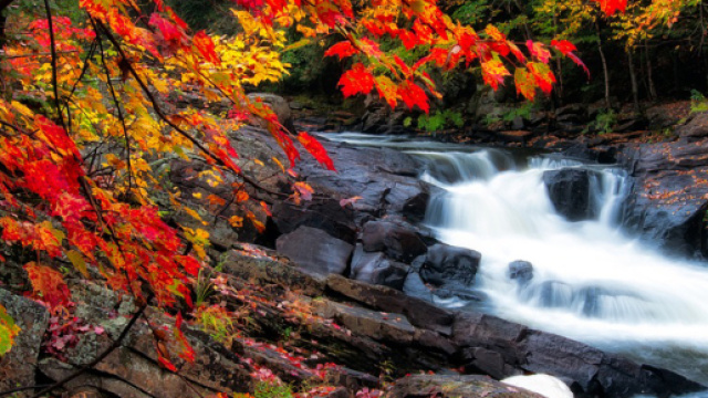Oroscopo 3 settembre: Ariete alla grande, Pesci nostalgici