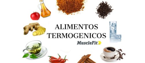 Que son los termog&eacute;nicos? &ndash; MuscleFit - musclefit.com