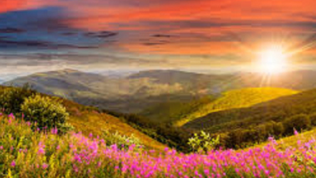 Oroscopo 11 ottobre: Acquario forte, Sagittario rilassato