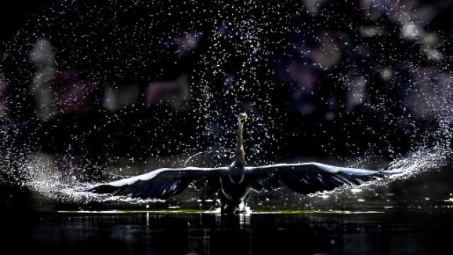 L'oroscopo di domani 28 settembre