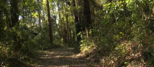 A Pol&iacute;cia Civil est&aacute; investigando o caso ocorrido no parque Anhanguera. (Reprodu&ccedil;&atilde;o/TV Globo)