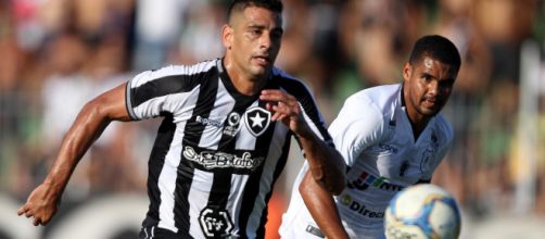 Botafogo ter&aacute; Diego Souza. (Vitor Silva/SSPress/Botafogo)