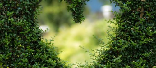 Como da&ntilde;amos el planeta con el desperdicio de comida
