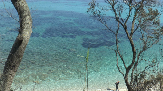 Casting per uno spot pubblicitario e per una sitcom