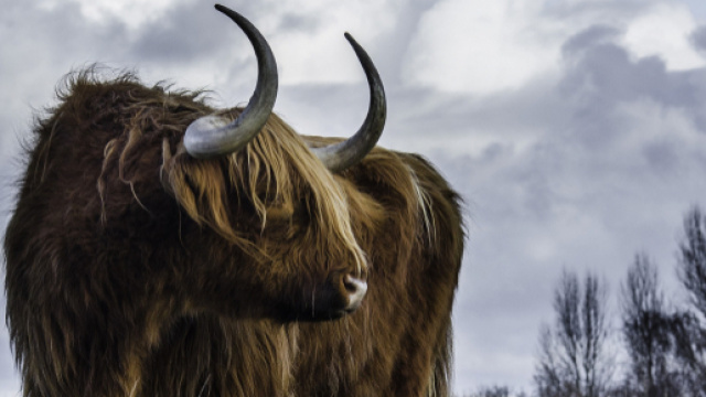 Previsioni astrologiche, classifica del 7 settembre 2019: Capricorno focoso, Toro energico.