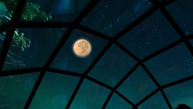 'Sfogliando la Luna', dal 7 settembre al 9 novembre 2019