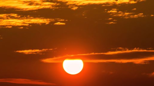 L'oroscopo del 15 gennaio: mercoled&igrave; fortunato per il Cancro, Leone turbato