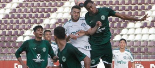 Goi&aacute;s eliminou o Palmeiras da Copa S&atilde;o Paulo. (Arquivo Blasting News).