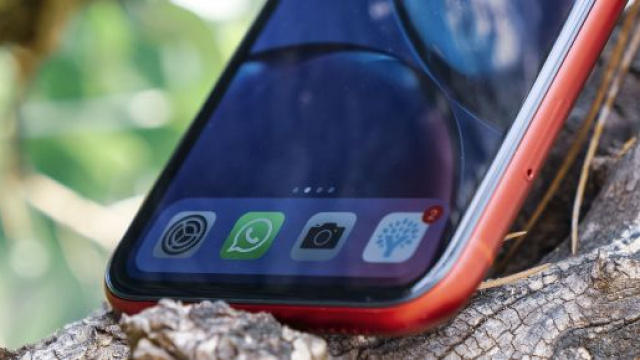 Trump contro Apple: 'Si rifiuta di sbloccare gli iPhone dei criminali'